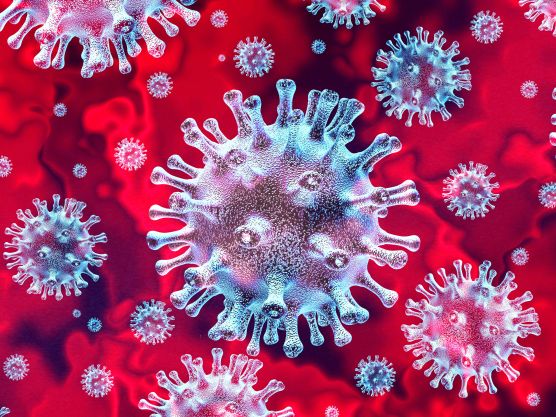 Reisbeperkingen in verband met coronavirus